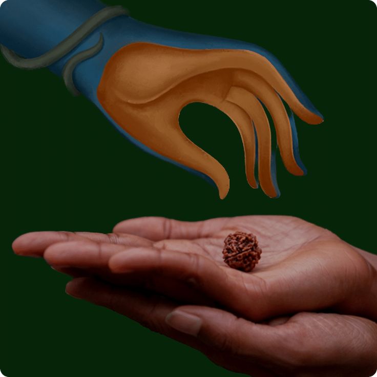 Nepali Rudraksha – Divine Energy from Shiva’s Lap | Authentic
