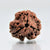 3 Mukhi Nepali Rudraksha