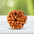 6 Mukhi Nepali Rudraksha