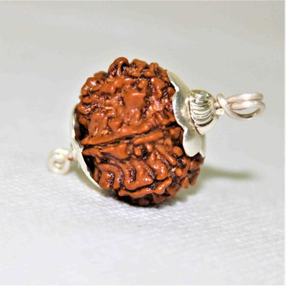 7 Mukhi Rudraksha Original Nepali – Wealth, Prosperity & Financial Growth
