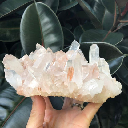 Natural Himalayan Clear Quartz Cluster