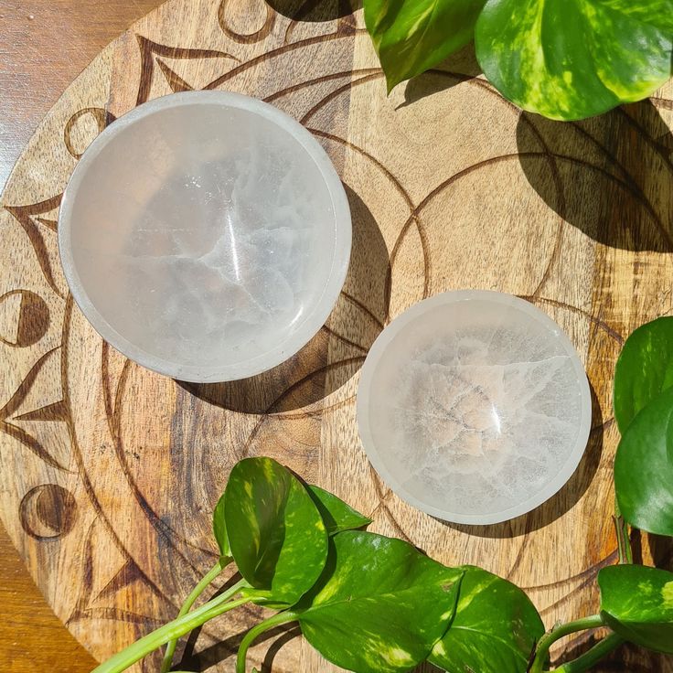 Buy Selenite Bowl for Crystal Cleansing & Charging for High-Vibration Energy Selenite
